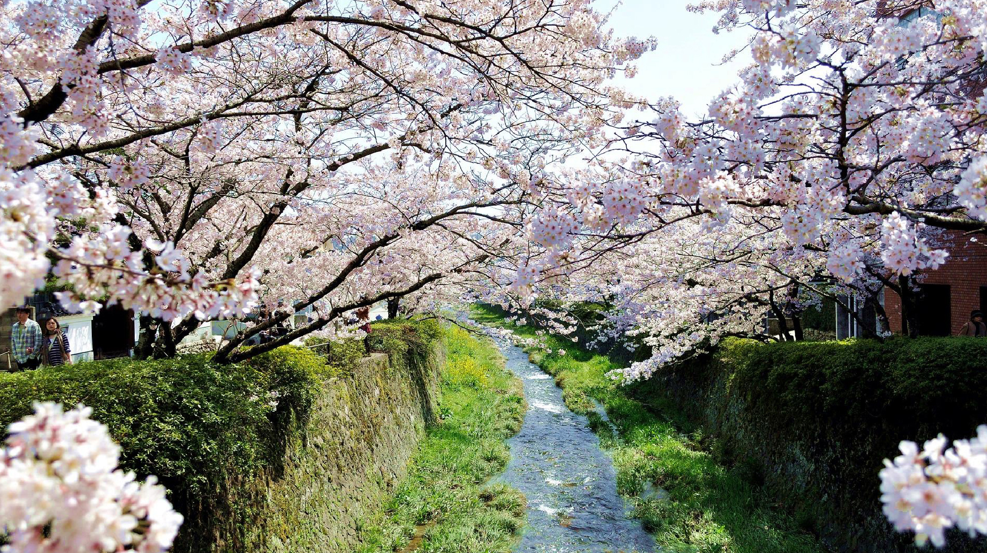 Ichinosaka River